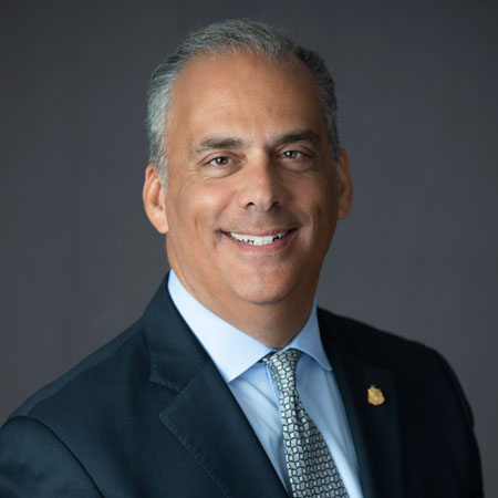 Mark Scarpelli, Board of Directors
